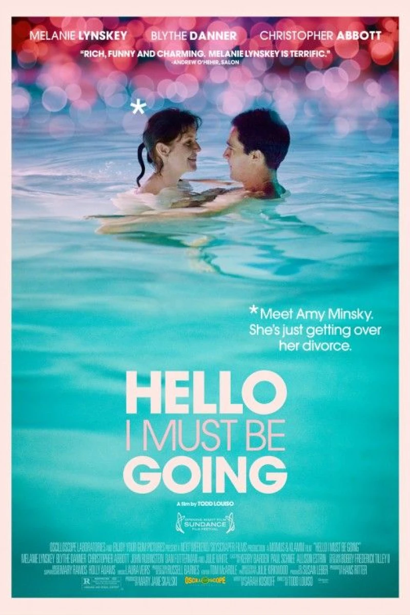 Hello I Must Be Going Poster