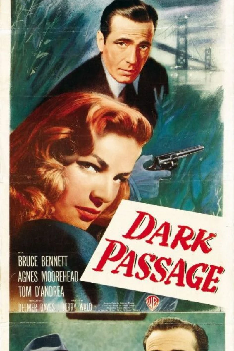 Dark Passage Poster