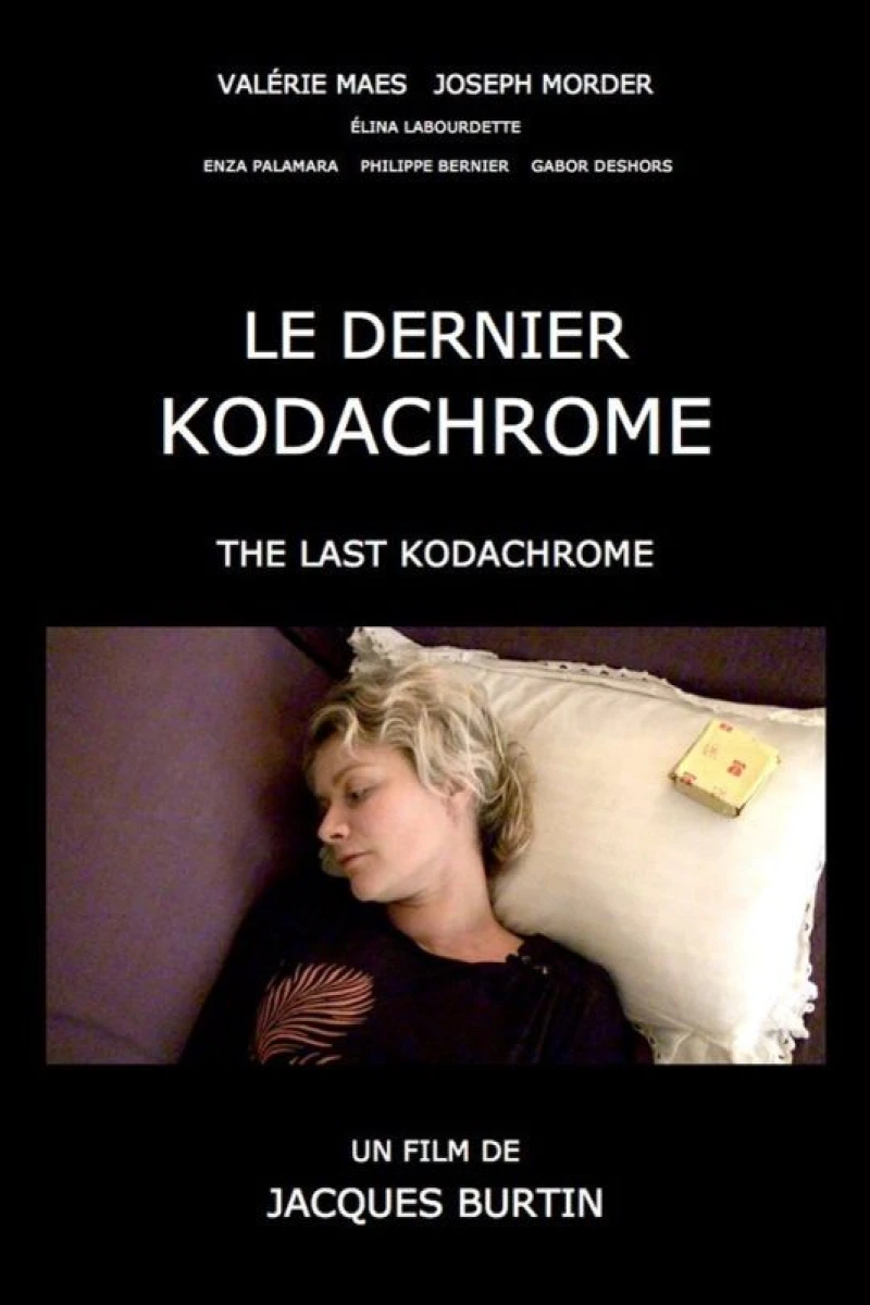 The Last Kodachrome Poster