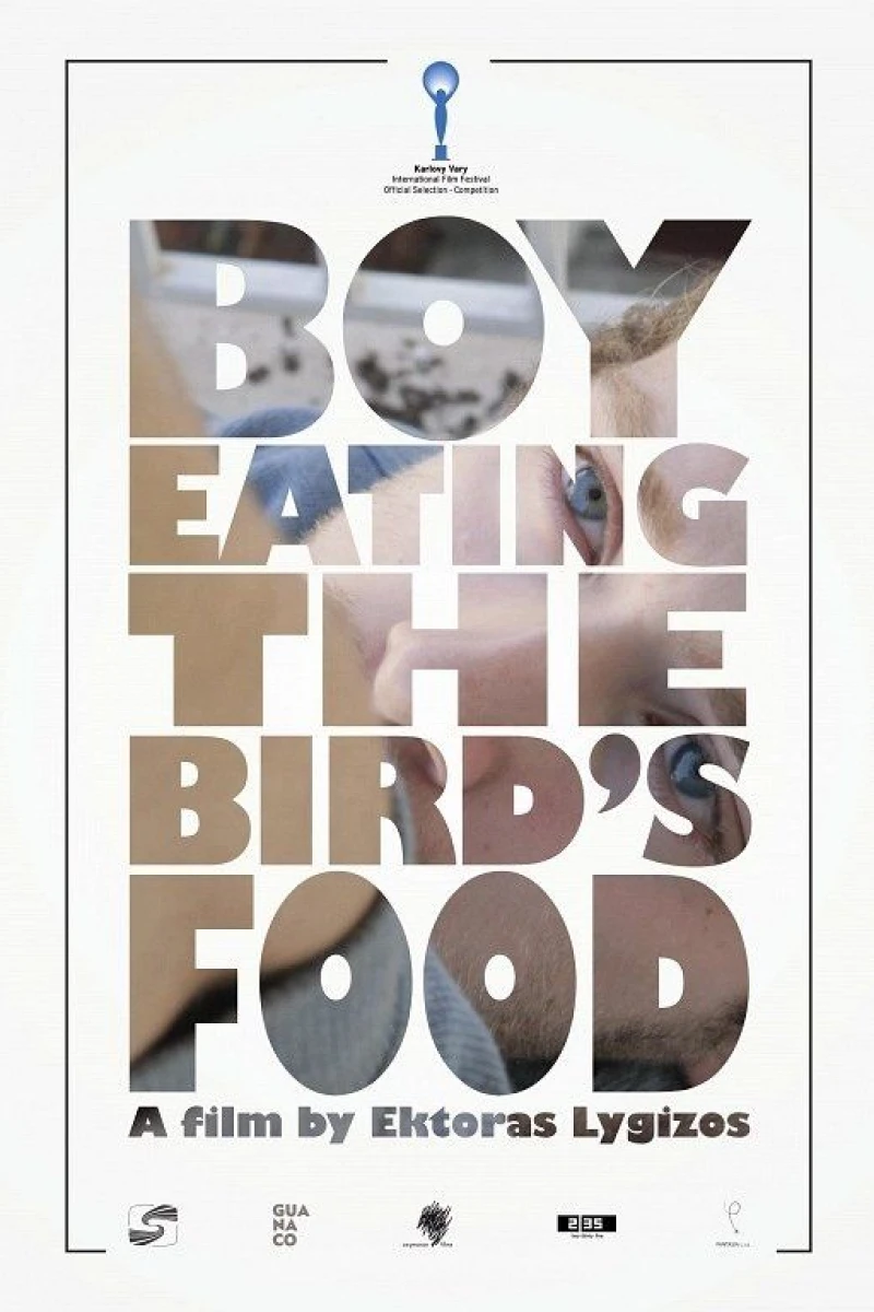 Boy Eating the Bird's Food Poster