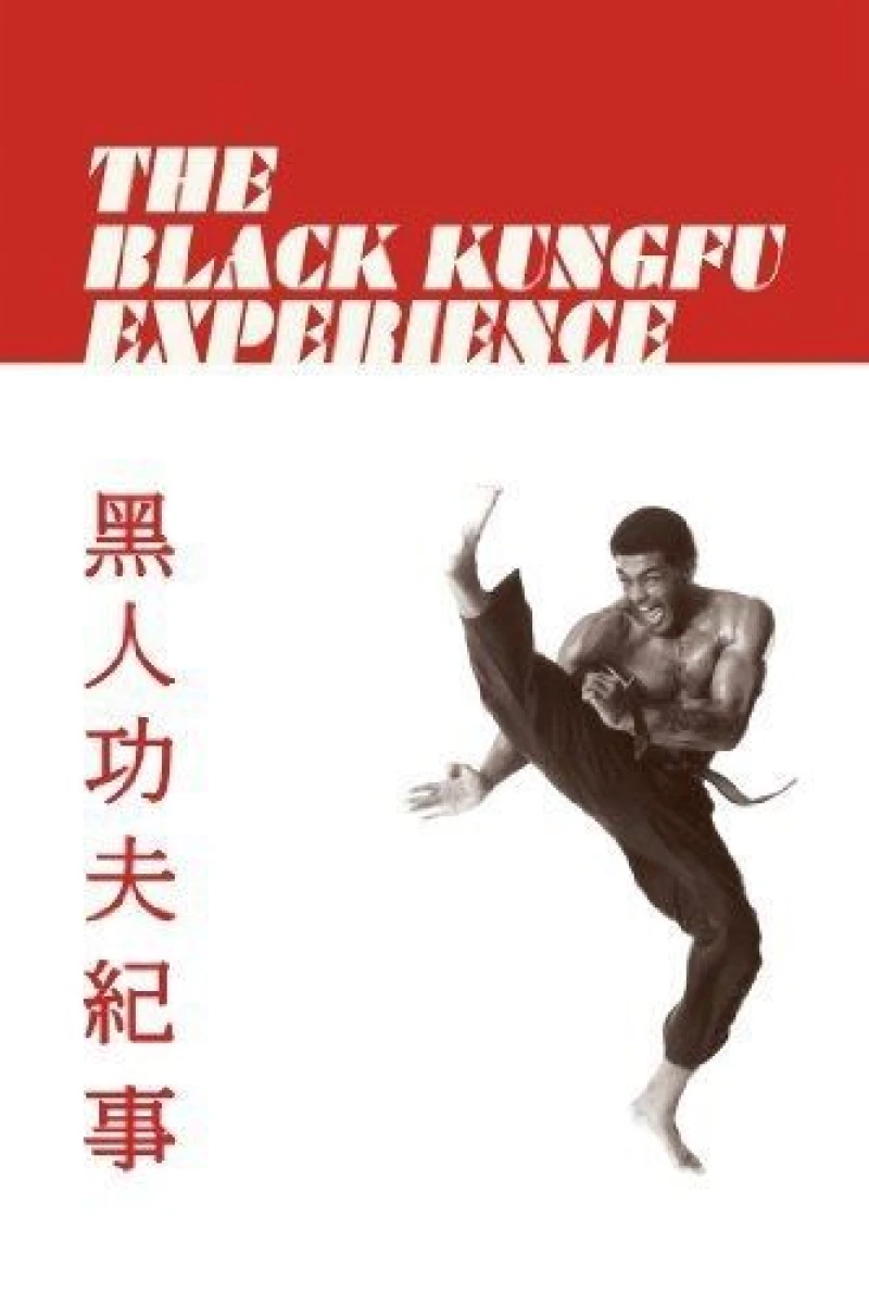 The Black Kung Fu Experience Poster