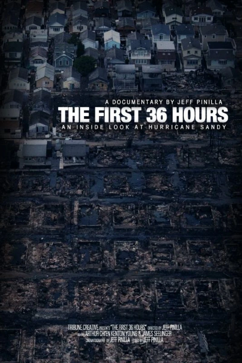 The First 36 hours: An Inside Look at Hurricane Sandy Poster