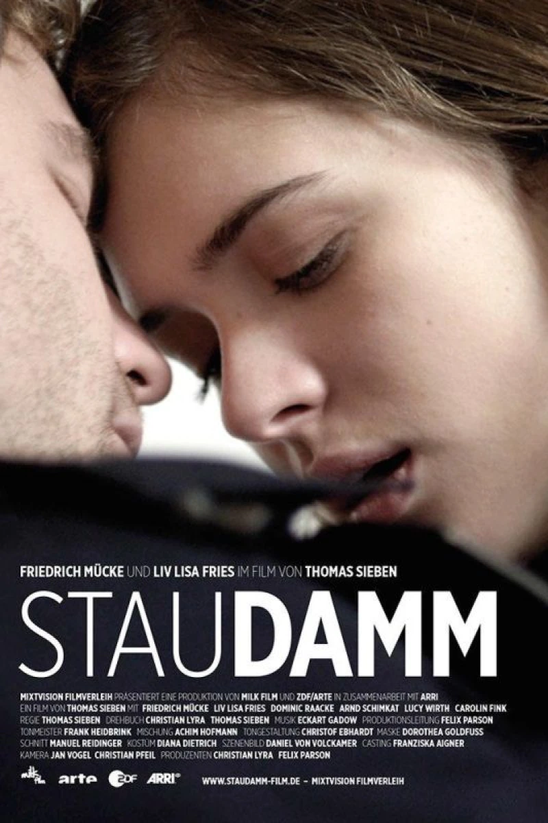 Staudamm Poster