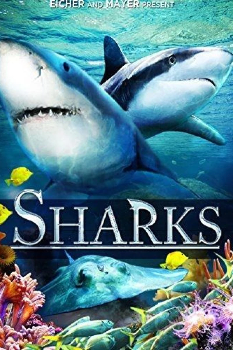 Sharks (in 3D) Poster