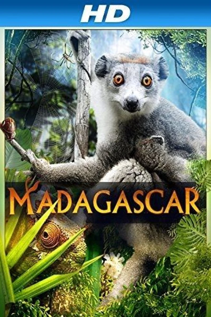 Madagascar 3D Poster