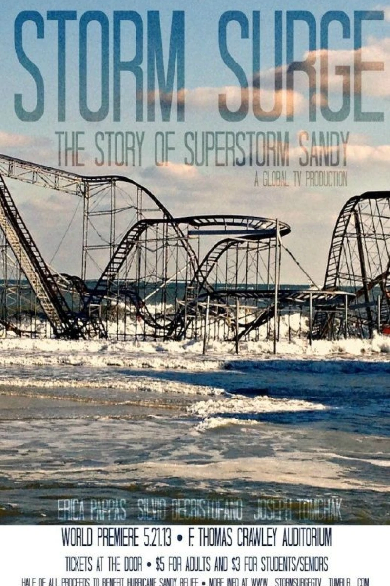 Storm Surge: The Story of Superstorm Sandy Poster