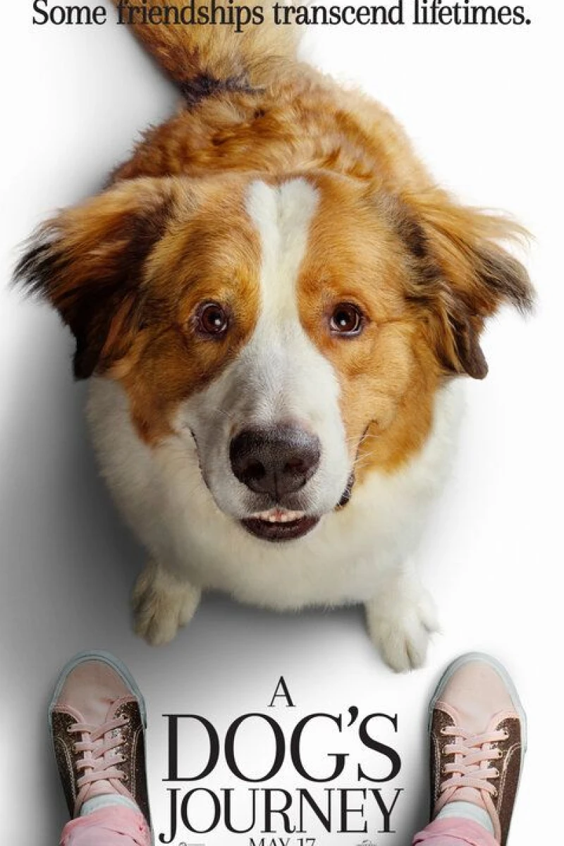 A Dog's Purpose 2 Poster